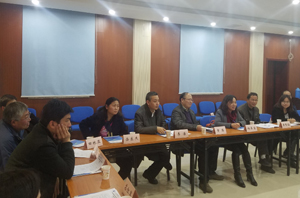 杨英宝副经理发言